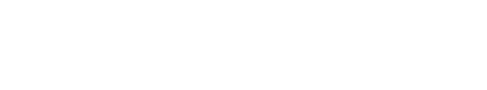 t_systems_feher